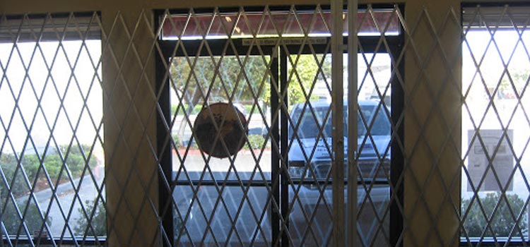 Storefront Metal Gate in New Hope